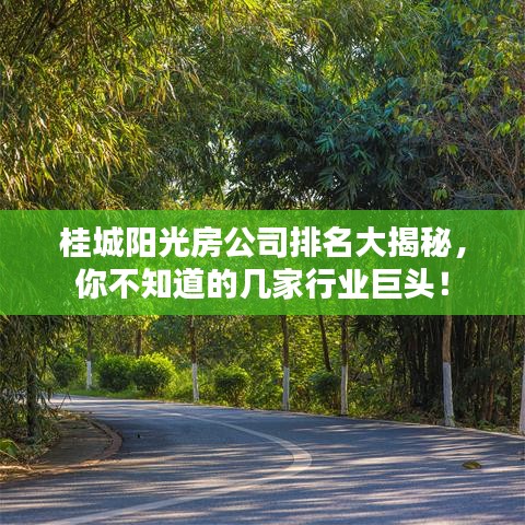 桂城阳光房公司排名大揭秘,你不知道的几家行业巨头!