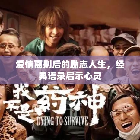 爱情离别后的励志人生,经典语录启示心灵