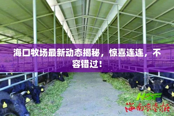 海口牧场最新动态揭秘,惊喜连连,不容错过!