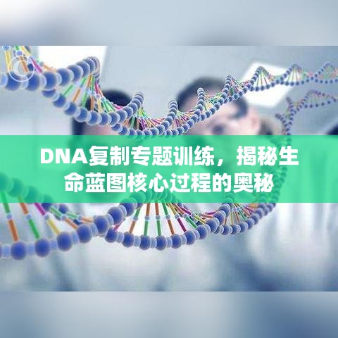 DNA复制专题训练,揭秘生命蓝图核心过程的奥秘