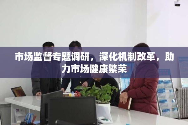 市场监督专题调研,深化机制改革,助力市场健康繁荣