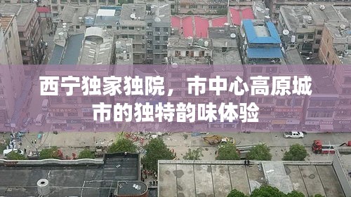西宁独家独院,市中心高原城市的独特韵味体验
