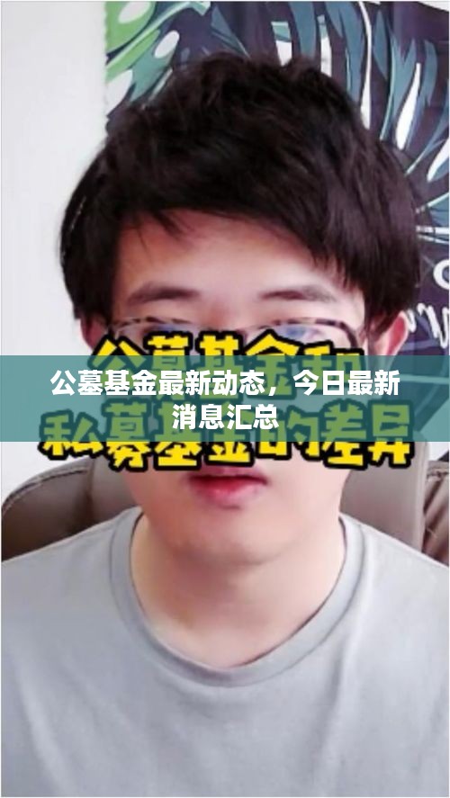 公墓基金最新动态,今日最新消息汇总