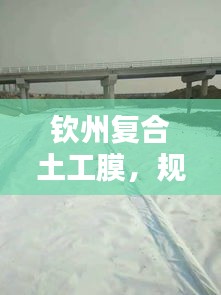 司空见惯 第3页