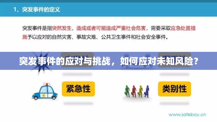 突发事件的应对与挑战,如何应对未知风险?