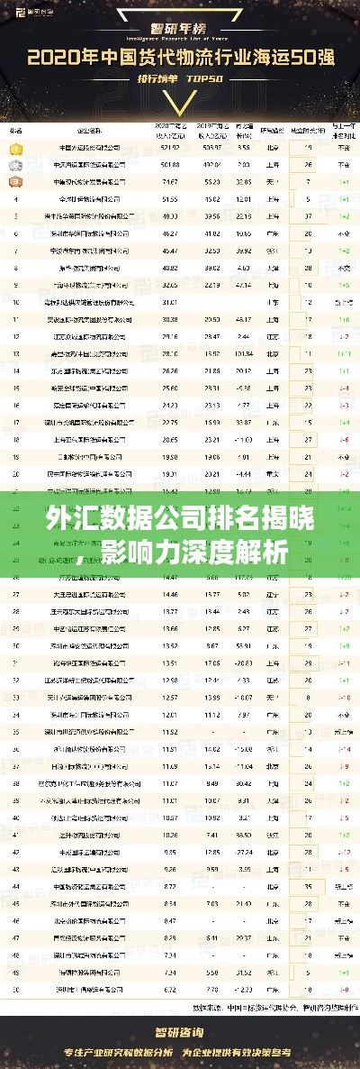 外汇数据公司排名揭晓,影响力深度解析