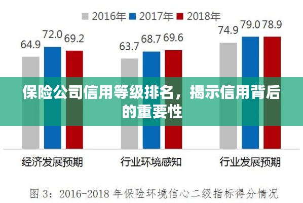 保险公司信用等级排名,揭示信用背后的重要性