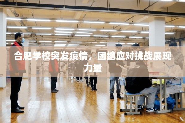 合肥学校突发疫情,团结应对挑战展现力量