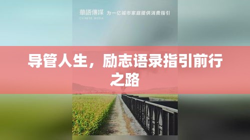导管人生,励志语录指引前行之路