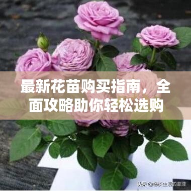 最新花苗购买指南,全面攻略助你轻松选购优质花苗