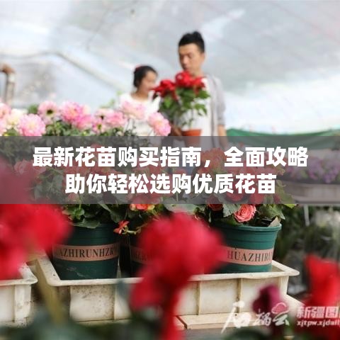 最新花苗购买指南,全面攻略助你轻松选购优质花苗