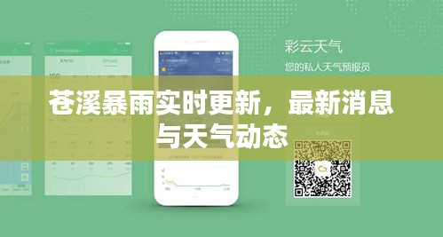 苍溪暴雨实时更新,最新消息与天气动态