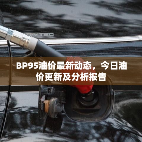 BP95油价最新动态,今日油价更新及分析报告