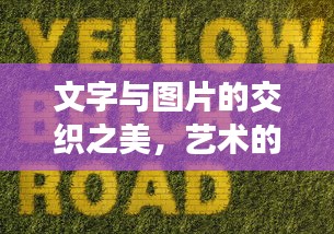 文字与图片的交织之美,艺术的无尽缠绕