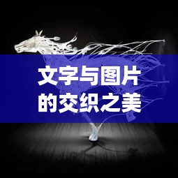 文字与图片的交织之美,艺术的无尽缠绕