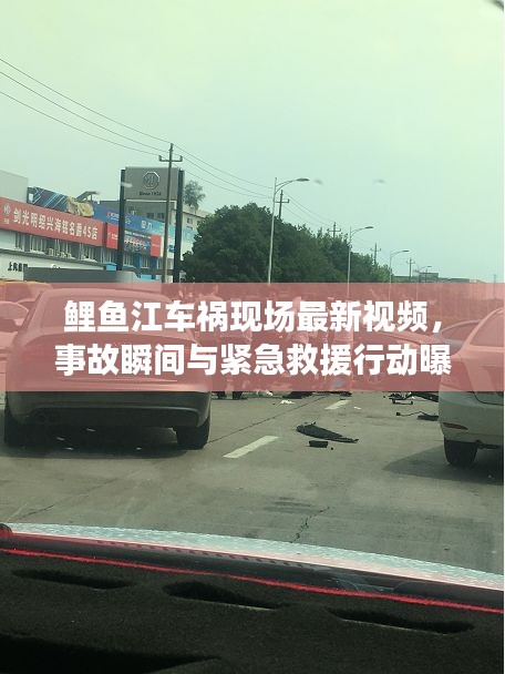 鲤鱼江车祸现场最新视频,事故瞬间与紧急救援行动曝光