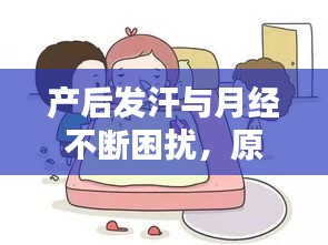 产后发汗与月经不断困扰,原因解析、处理方法及恢复策略