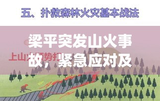 梁平突发山火事故,紧急应对及深刻反思