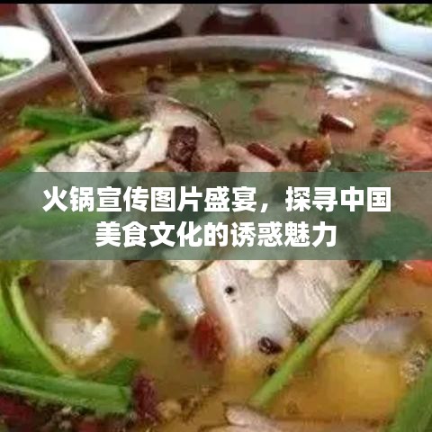 火锅宣传图片盛宴,探寻中国美食文化的诱惑魅力