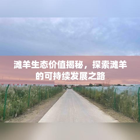 滩羊生态价值揭秘,探索滩羊的可持续发展之路