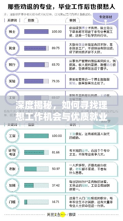 深度揭秘,如何寻找理想工作机会与优质就业环境?