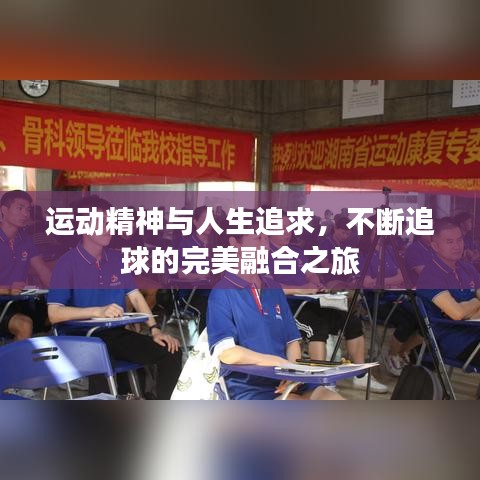 运动精神与人生追求,不断追球的完美融合之旅
