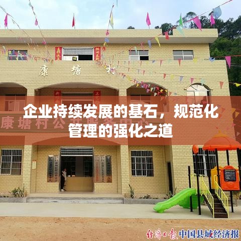企业持续发展的基石,规范化管理的强化之道