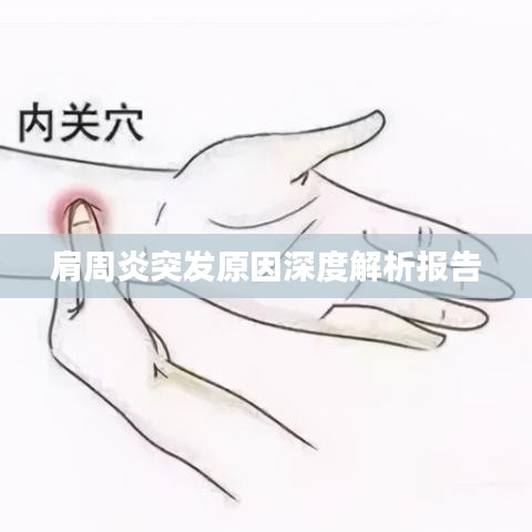 肩周炎突发原因深度解析报告