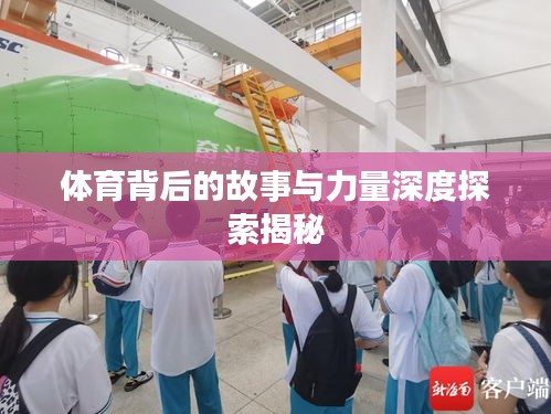 体育背后的故事与力量深度探索揭秘
