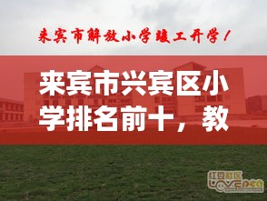 来宾市兴宾区小学排名前十,教育明珠闪耀的优质学府
