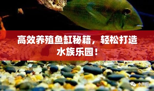 月里嫦娥 第3页