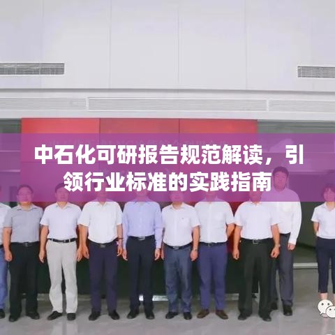 中石化可研报告规范解读,引领行业标准的实践指南