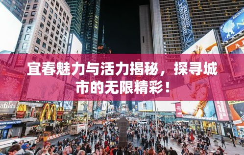 宜春魅力与活力揭秘,探寻城市的无限精彩!