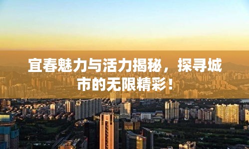 宜春魅力与活力揭秘,探寻城市的无限精彩!