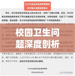 校园卫生问题深度剖析,揭开清洁背后的真相