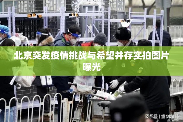 淡妆浓抹 第3页
