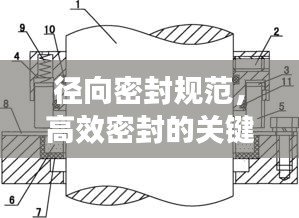 径向密封规范,高效密封的关键要素解析