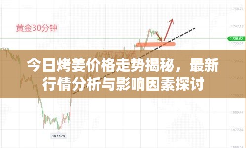 今日烤姜价格走势揭秘,最新行情分析与影响因素探讨