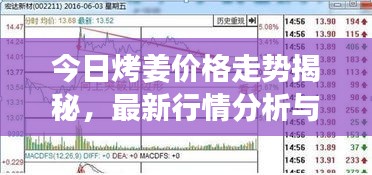 今日烤姜价格走势揭秘,最新行情分析与影响因素探讨