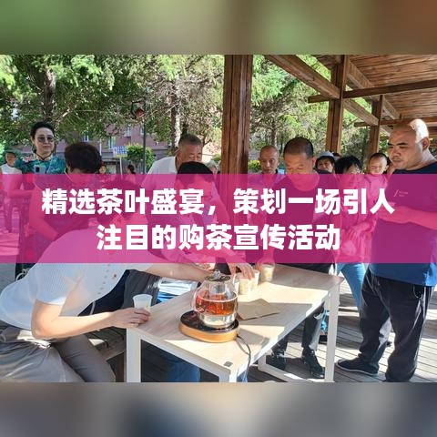 精选茶叶盛宴,策划一场引人注目的购茶宣传活动