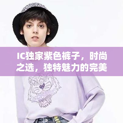IC独家紫色裤子,时尚之选,独特魅力的完美体现
