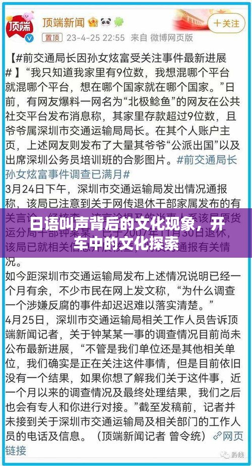 日语叫声背后的文化现象,开车中的文化探索