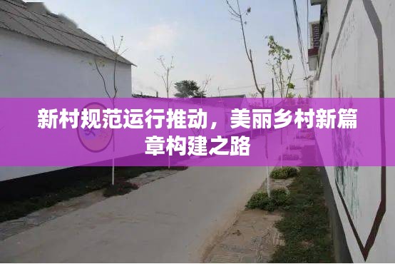 新村规范运行推动,美丽乡村新篇章构建之路