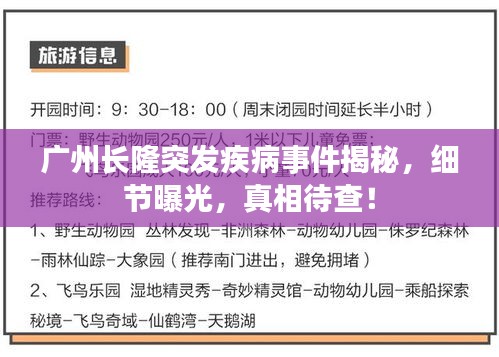 广州长隆突发疾病事件揭秘,细节曝光,真相待查!