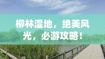 柳林湿地,绝美风光,必游攻略!