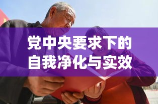 党中央要求下的自我净化与实效推动,深化自查,筑牢发展根基