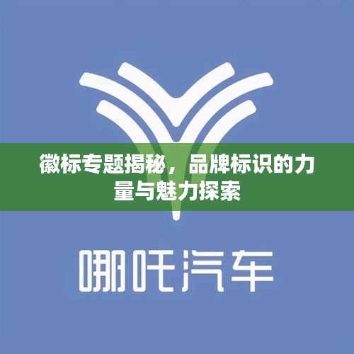 徽标专题揭秘,品牌标识的力量与魅力探索