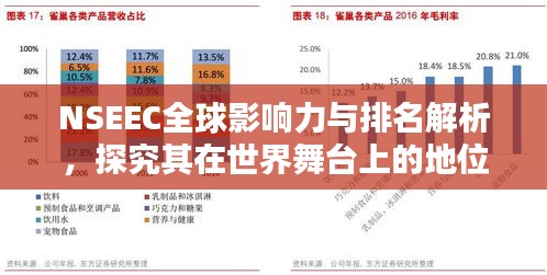 NSEEC全球影响力与排名解析,探究其在世界舞台上的地位与影响力