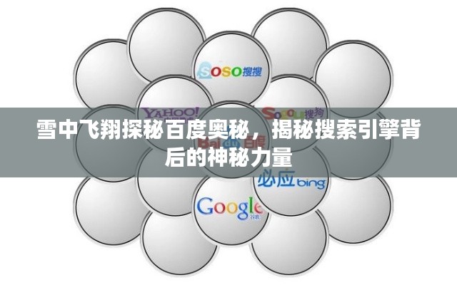 雪中飞翔探秘百度奥秘,揭秘搜索引擎背后的神秘力量