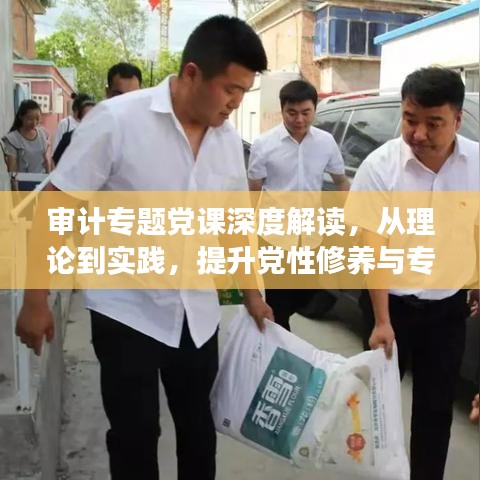 审计专题党课深度解读,从理论到实践,提升党性修养与专业能力
